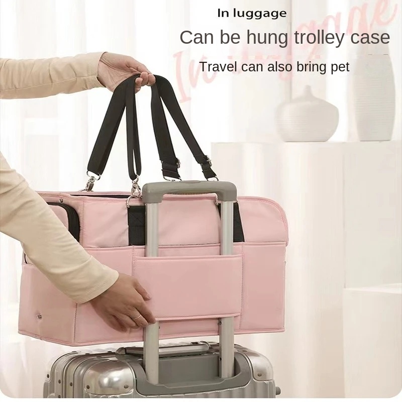 Borsa per cani alla moda Traco - Travel Accessories Rome recensione e prezzo